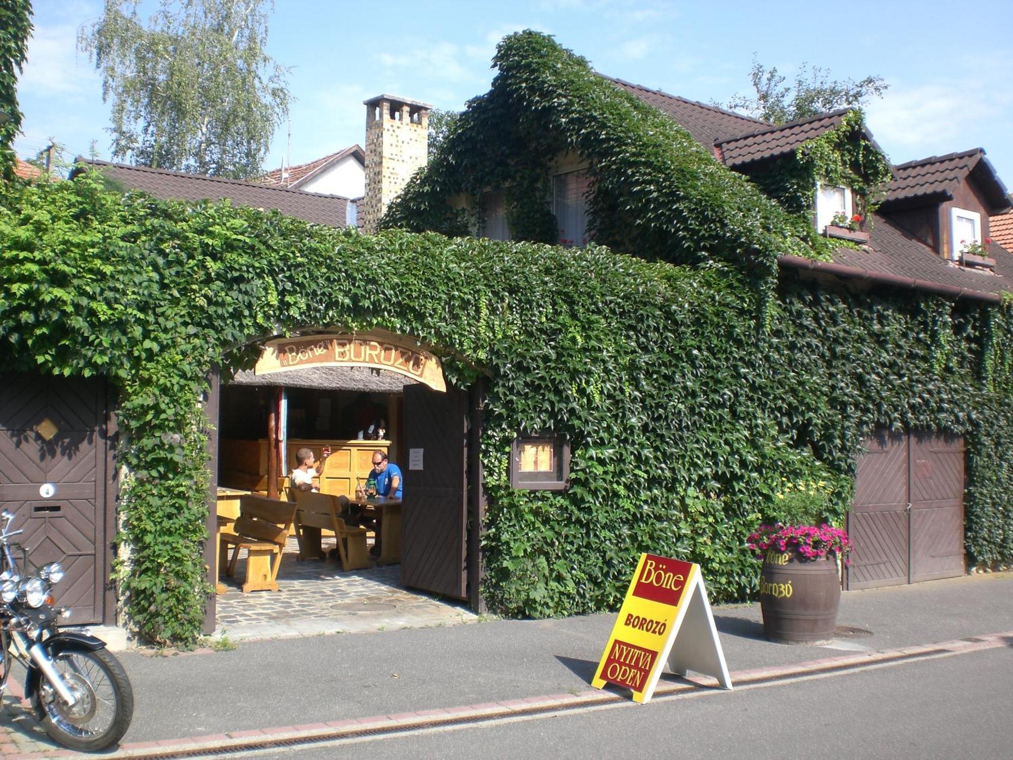 Ferienwohnung Boene Vendeghaz Es Borozo Tokaj Exterior foto